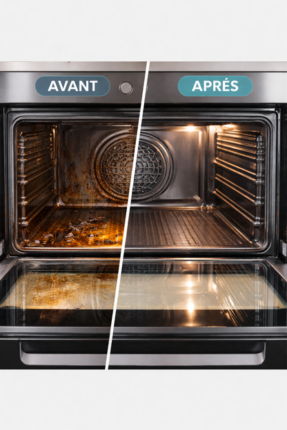 Sanistone™ - Nettoyeur à vapeur Puissant & Multi-usages